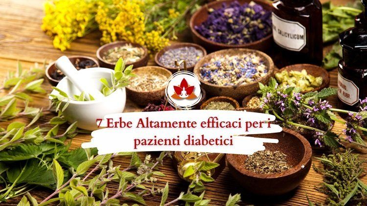 Il Potere delle Erbe Medicinali: Saggezza Antica e Cura Naturale